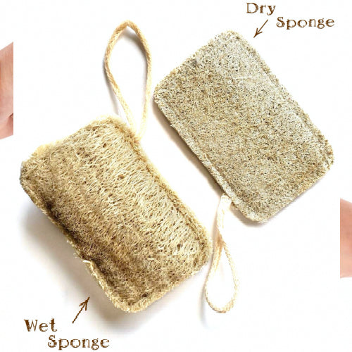 Natural Loofah Sponge Set (3 Pack) – Eco-Friendly Multi-Purpose Cleaning & Body Scrub Sponges